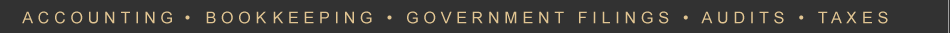 Accounting | Bookkeeping | Government Filings | Audits | Taxes